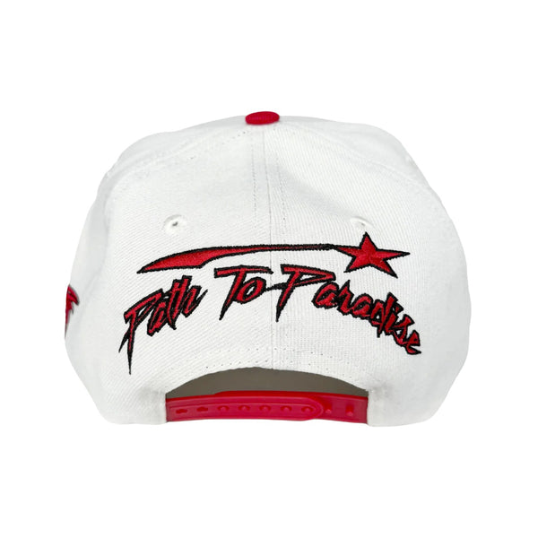 Hell Star Shark Teeth Snapback Hat Unisex Style : Hs-stsbh