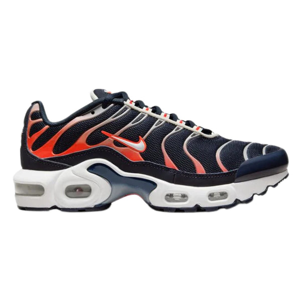 Nike Air Max Plus (Gs) Big Kids Style : Cd0609