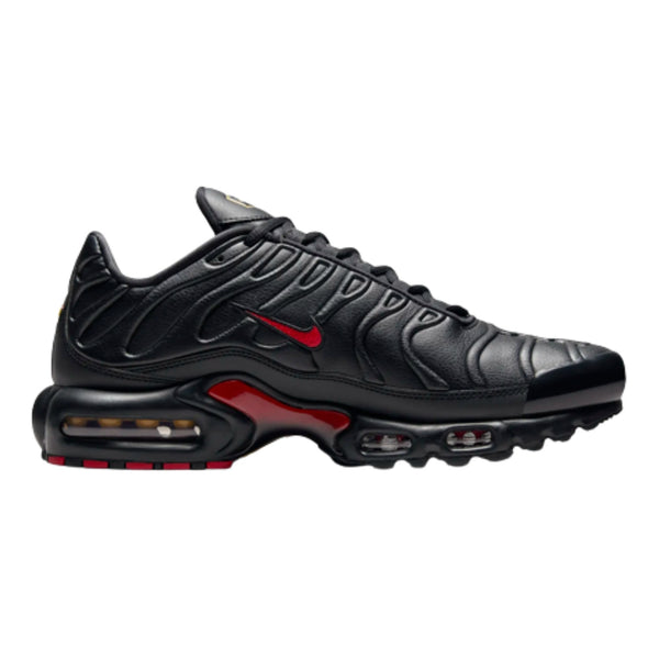 Nike Air Max Plus Prm Mens Style : Fz3038