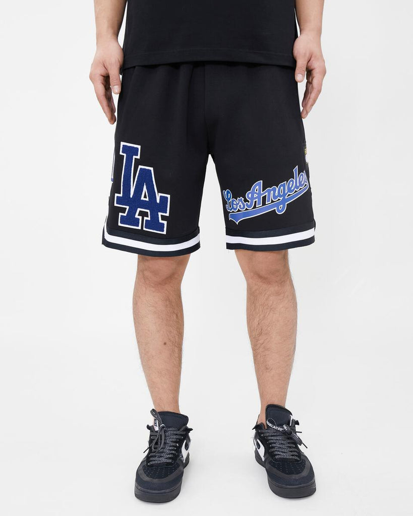 Los Angeles Dodgers Pro Standard Team T-Shirt - Black