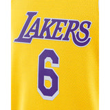 Lakers Icon Edition 2020 Nike NBA Swingman Jersey. Nike.com