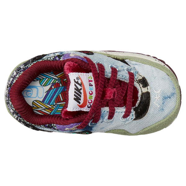 Nike Air Max 1 Sp Toddlers Style : Dr2363-300